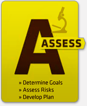 Assess: Determine Goals, Assess Risks, Develop Plan