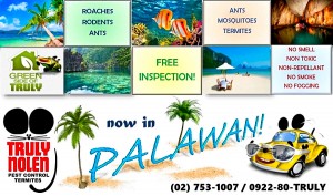 palawan_001